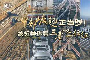 专家：埃弗顿案件损害了赛季的完整性，他们和保级对手都陷入未知